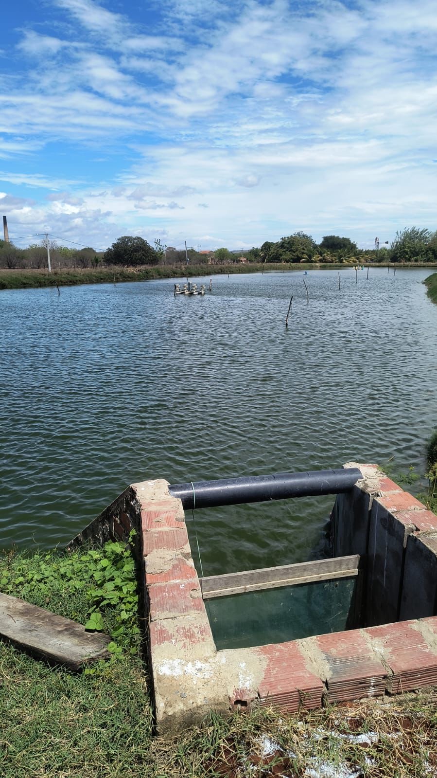 SK Pescados - Galeria