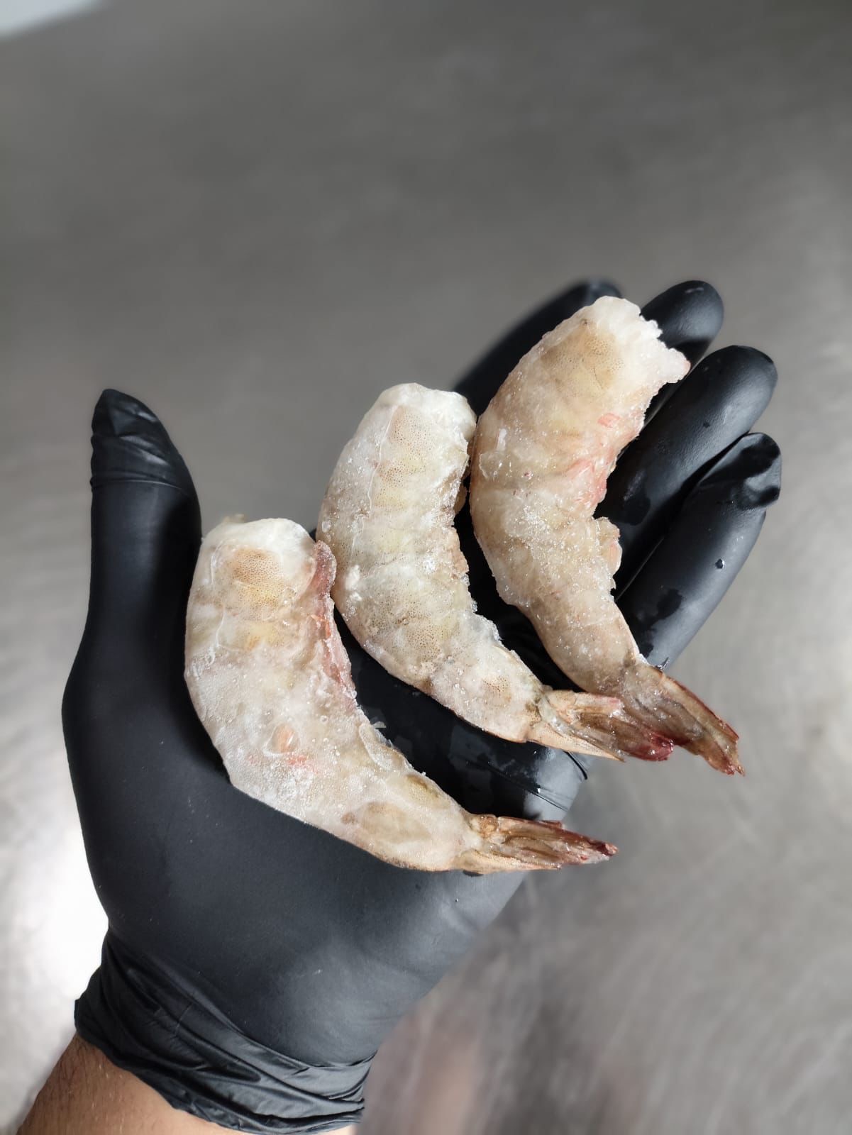 SK Pescados - Galeria